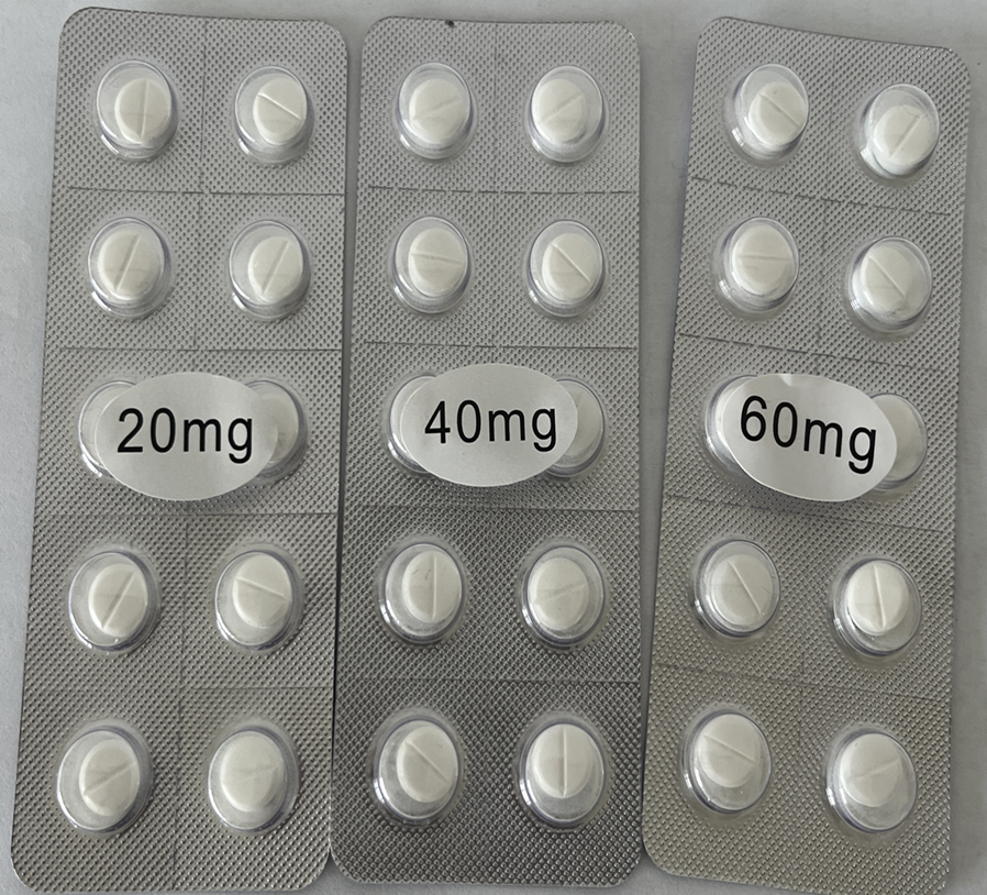 GS441524 tablets 20mg/40mg/60mg